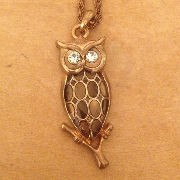Owl necklace with long chain