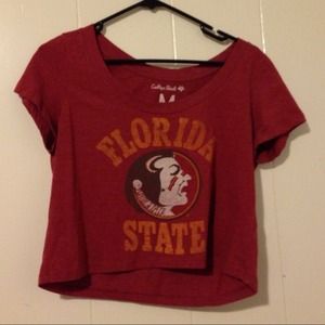 American Eagle College Crop Top