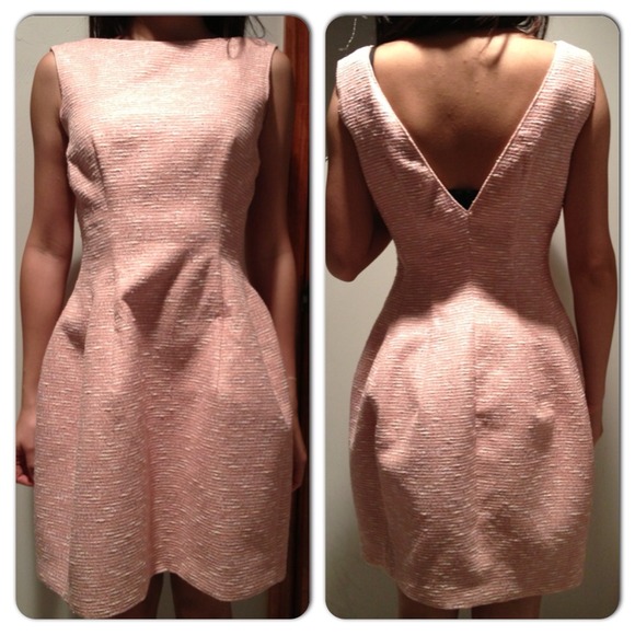 Zara Pink Tulip Dress
