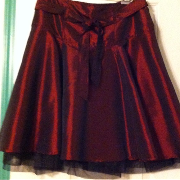 Dresses & Skirts - Skirt is stunning! Worn only 1 time 4 a NY trip