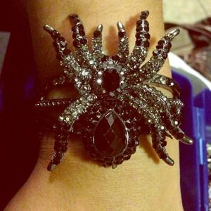 Really pretty rhinestone spider.