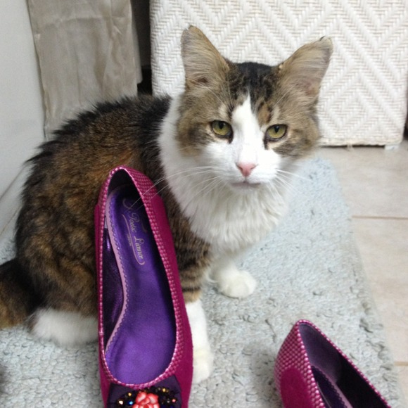 Poetic License brand flats - Picture 3 of 4