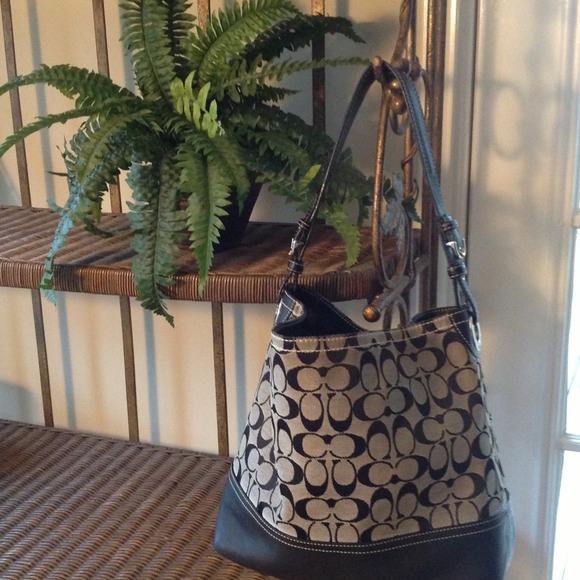 Authentic Coach (Navy)