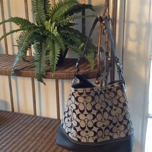 Authentic Coach (Navy)