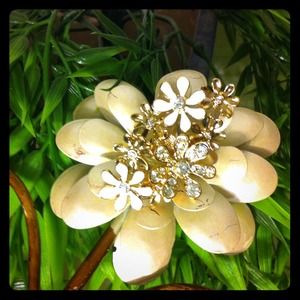 Ring, NEW!