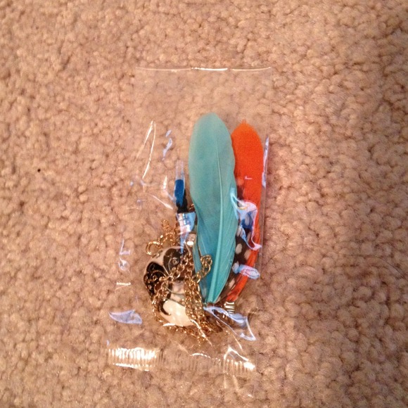 Feather Dust Plug