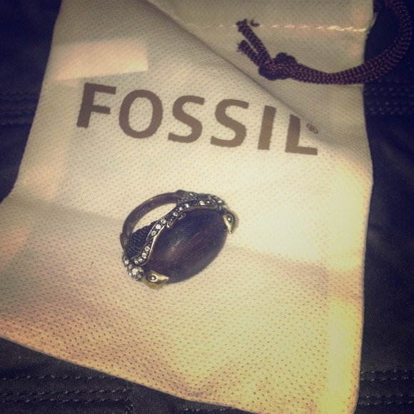 Fossil ring