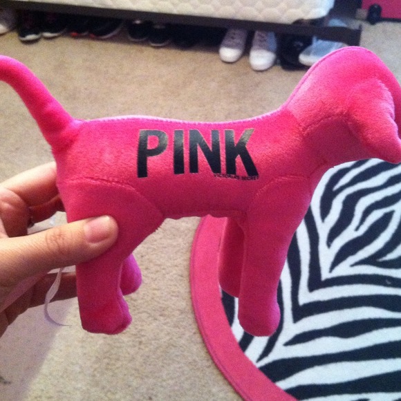 Vs pink dog