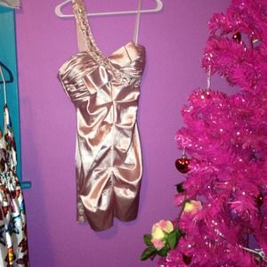 Roberta Pink Champagne Ritzy party girl dress!