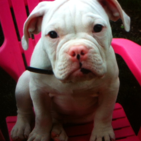 Meet my baby