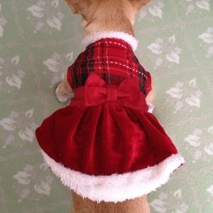 Dog clothing/dress