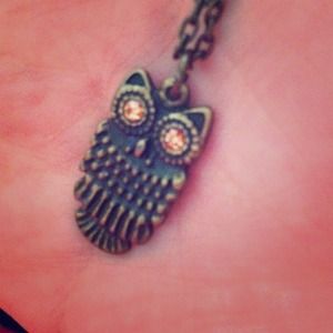 Copper Brown Owl Necklace NWOT