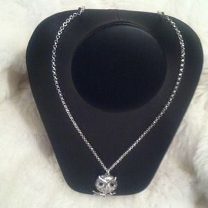 ⛔SOLD⛔Long silver owl necklace.