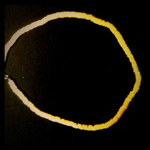 Shell necklace