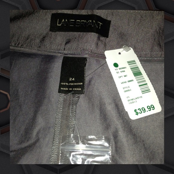 Sleek Pleated Pants 🐝 - Picture 3 of 3