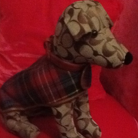 Authentic Coach Puppy