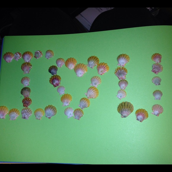 Sunrise shells - Picture 2 of 2
