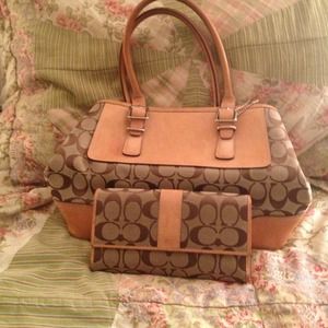 Bag and matching check book wallet