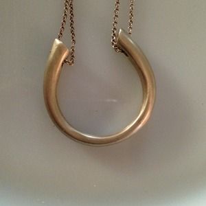 Long silver horseshoe necklace