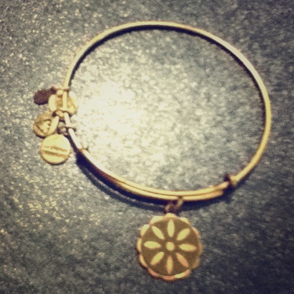 SOLD as bundle Alex and Ani charm bracelet