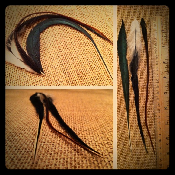 **Sold/Traded** 3 Feather Hair Extensions!!