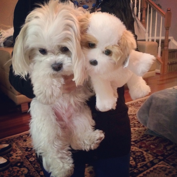 Meet your seller! - Picture 4 of 4