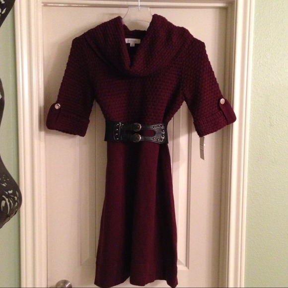 NWT plum sweater dress or long top w/skinny jeans