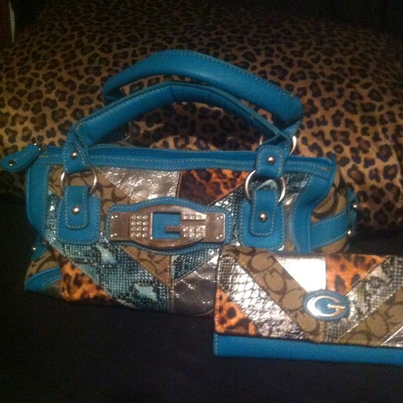 Purse &  Matching Wallet ✂️PRICE CUT!