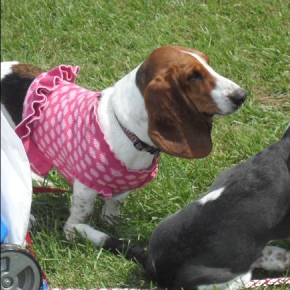 Meet yours truly and the famous Zombie_Bella! - Picture 4 of 4