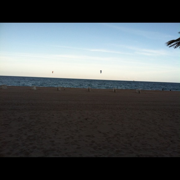 Label for silenrcanrera1