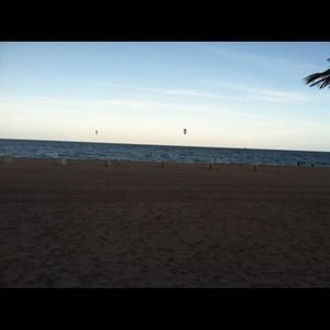 Label for silenrcanrera1