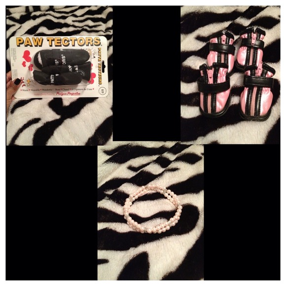 Bundle of Dog Clothes Shoes and Accessories