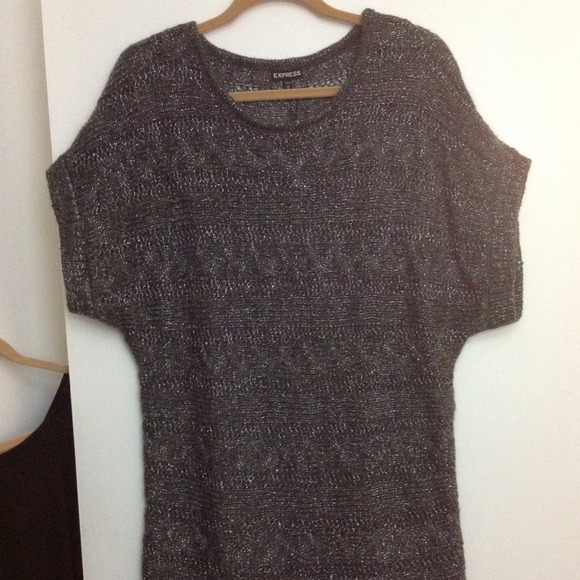 REDUCED!! Express Silver Sweater
