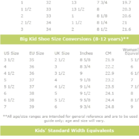 Boys Northface waterproof winter boot ❄⛄