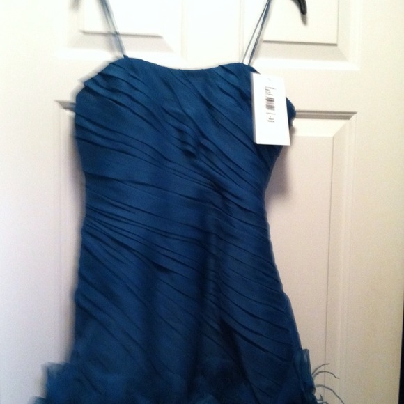 THEIA Designer Dress