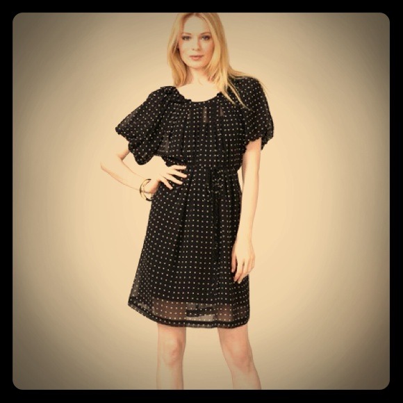 Alex  Dresses & Skirts - HOLDAlex+Alex sheer chiffon polka dot dress
