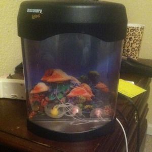 Jellyfish Aquarium