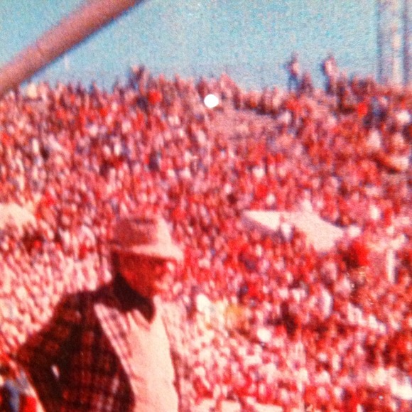 Picture - Picture 4 of 4