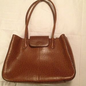 Ostrich tote! Awesome work/school tote!