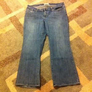 Bundle Maurices orchid & Amber boot cut jeans