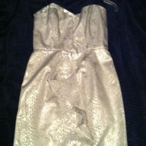 Size 6 David Meister dress