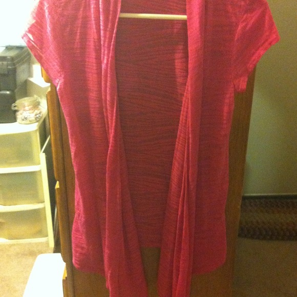 Pink SeeThrew Zebra Print.