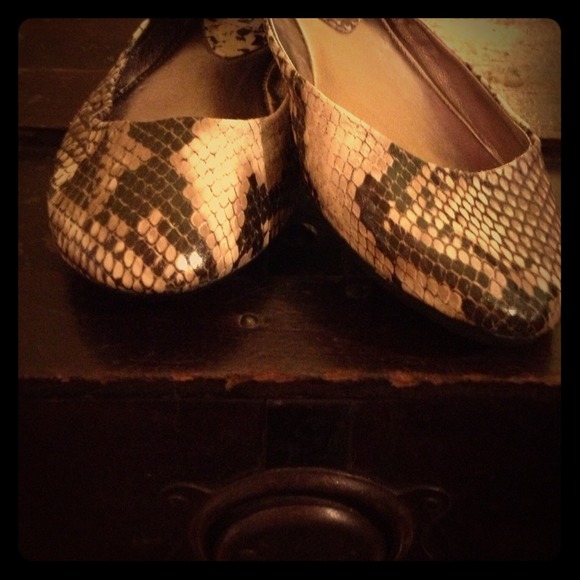 *Sold Bundle trade* Steve Madden snake flats