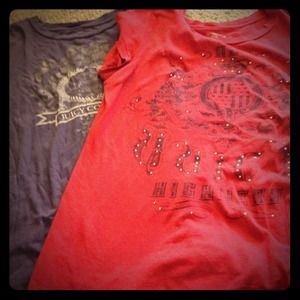 🎀BUNDLE🎀two juicy tees