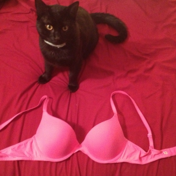 VS Push Up **Traded**
