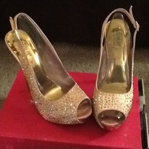 Denise Richards designed shoe.