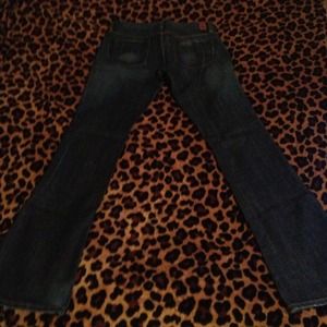 Designer Jeans Odyn dark wash flared