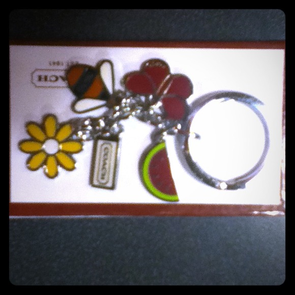 Coach flower bee  watermelon keychain fob