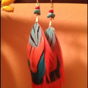 Feather earrings