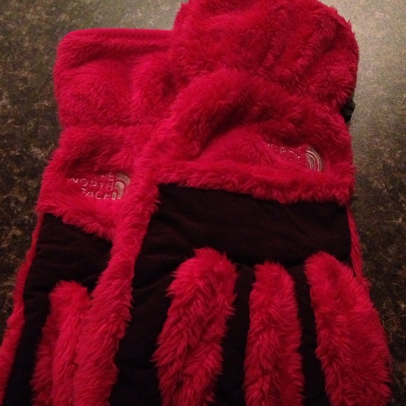 Northface winter gloves